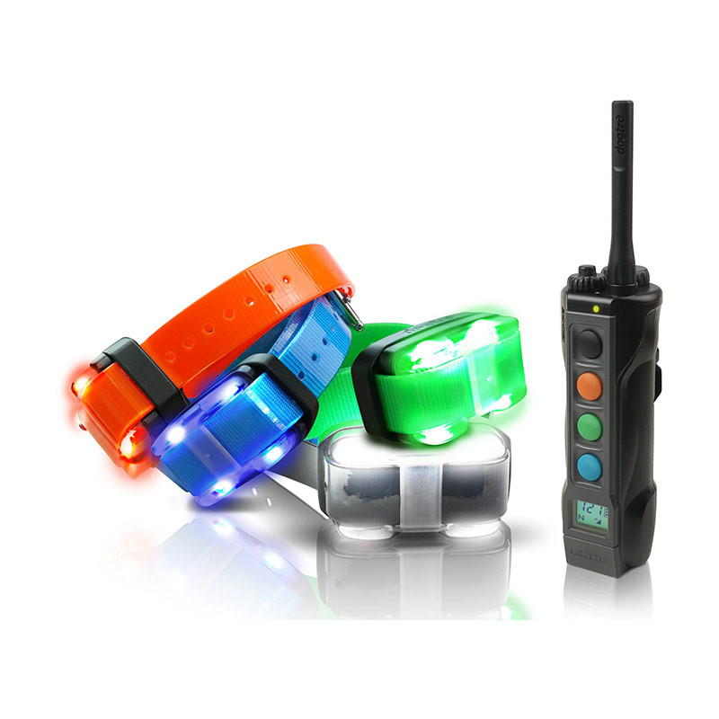 Kit Collier & Beeper DOGTRA 4504 Edge