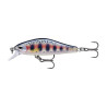 Leurre RAPALA Shadow Rap Solid Shad 5