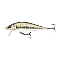 Leurre RAPALA Countdown Elite CDE55