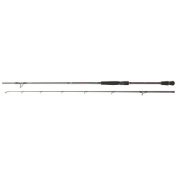 Canne DAIWA Infeet Seabass 702 HFS