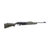 Carabine BENELLI Argo E Comfort Vert