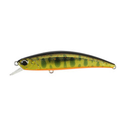 Leurre SPEARHEAD RYUKI 70F