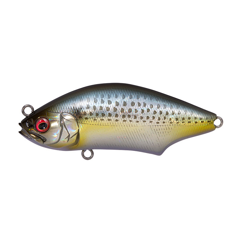 Leurre dur MEGABASS Hadara Trap