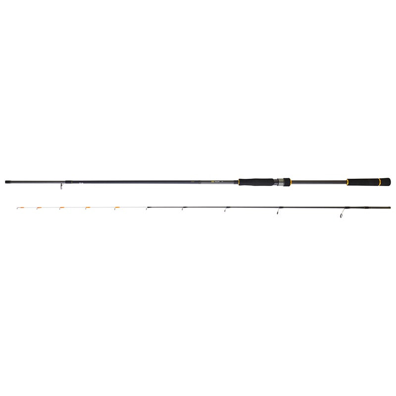Canne DAIWA BG Tenya Game 242 H