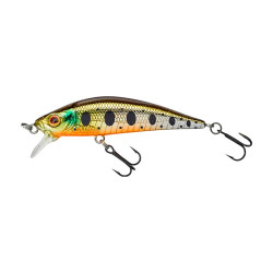 Leurre dur GUNKI Gamera 50 SP