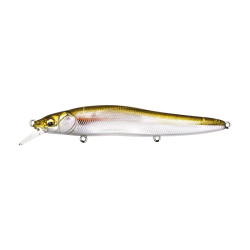 Leurre dur MEGABASS Vision 110 R