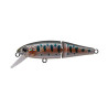 Leurre dur TACKLE HOUSE Buffet Jointed 51S