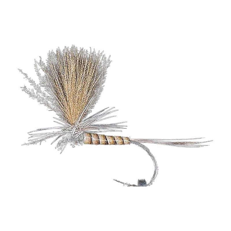 Mouche MDC DC 100 BL