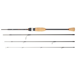 Canne DAIWA Presso Iprimi...