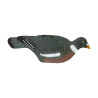Demi-Coque STEPLAND Pigeon Hd