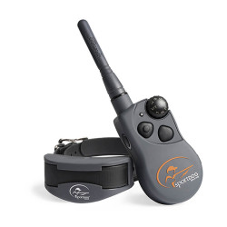 Collier D'éducation SPORT...