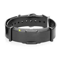 Collier Supplémentaire DOGTRA Arc 800