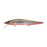Leurre dur MEGABASS Vision 110 FW