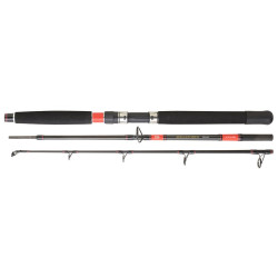 Canne DAIWA Megaforce...