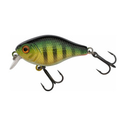 Leurre dur BERKLEY Pulse...