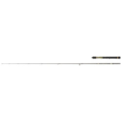 Canne DAIWA Crosscast 1002...