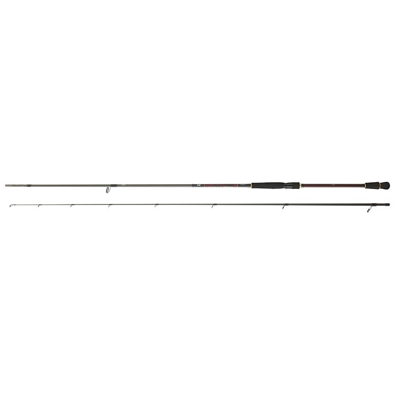 Canne DAIWA Infeet Seabass 902 MHFS