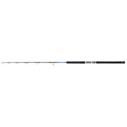 Canne DAIWA Saltiga Jigging 24 - EX 60