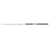 Canne DAIWA Saltiga Jigging 24 - 58 HS
