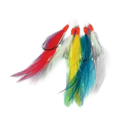 Plumes de mer FLASHMER Filaments - 5 ham.