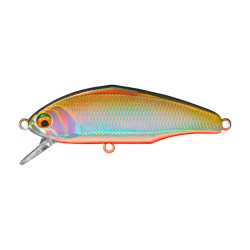 Leurre dur SMITH D-Incite 64