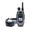 Kit Collier & Beeper DOGTRA 640X