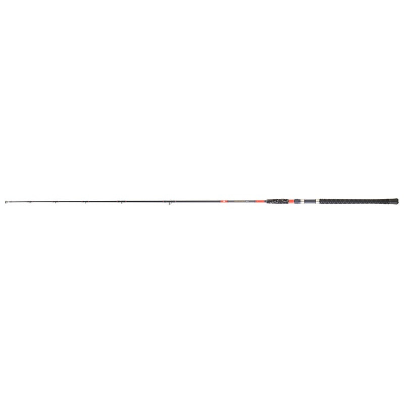 Canne DAIWA Megaforce Big Fish 201 H