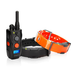 Kit Collier & Beeper DOGTRA...