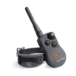 Collier D'éducation SPORT...