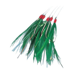 Plumes de mer FLASHMER Filaments - 5 ham.