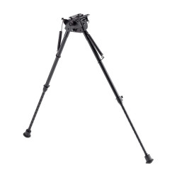 Bipied COUNTRY 13 Positions...