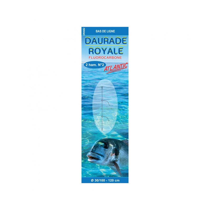 Bas de ligne FLASHMER Daurade royale atlantic renforcé