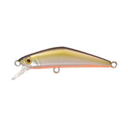 Leurre dur SMITH D-Compact FES 45