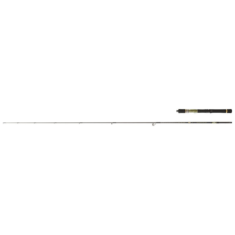 Canne DAIWA Crosscast 1002 HX HFS