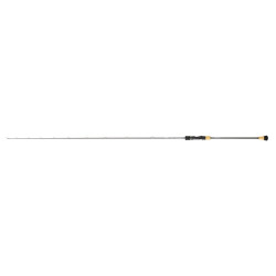 Canne DAIWA Saltiga Slow...