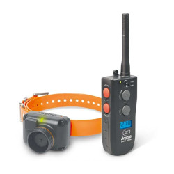 Kit Collier & Beeper DOGTRA...