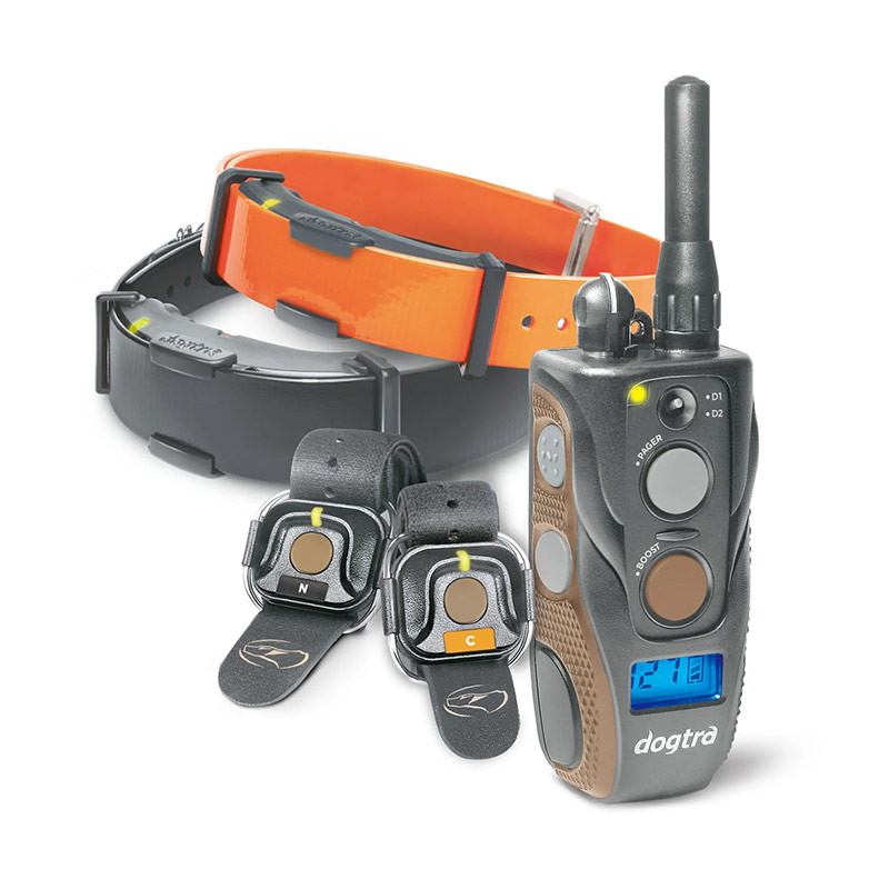 Kit Collier & Beeper DOGTRA Arc 802 Free Plus