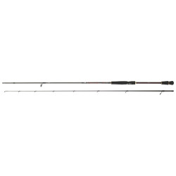 Canne DAIWA Infeet Seabass 802 MHFS