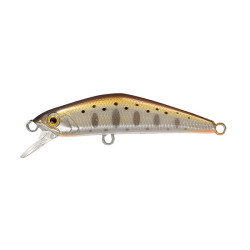 Leurre dur SMITH D-Compact FES 45