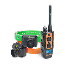 Kit Collier & Beeper DOGTRA...