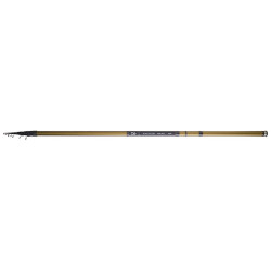 Canne DAIWA Exceler Telereglable 60 R