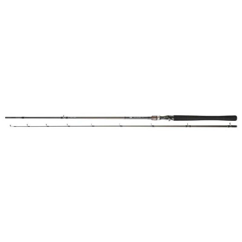 Canne DAIWA Exceler Casting 742 XHFB