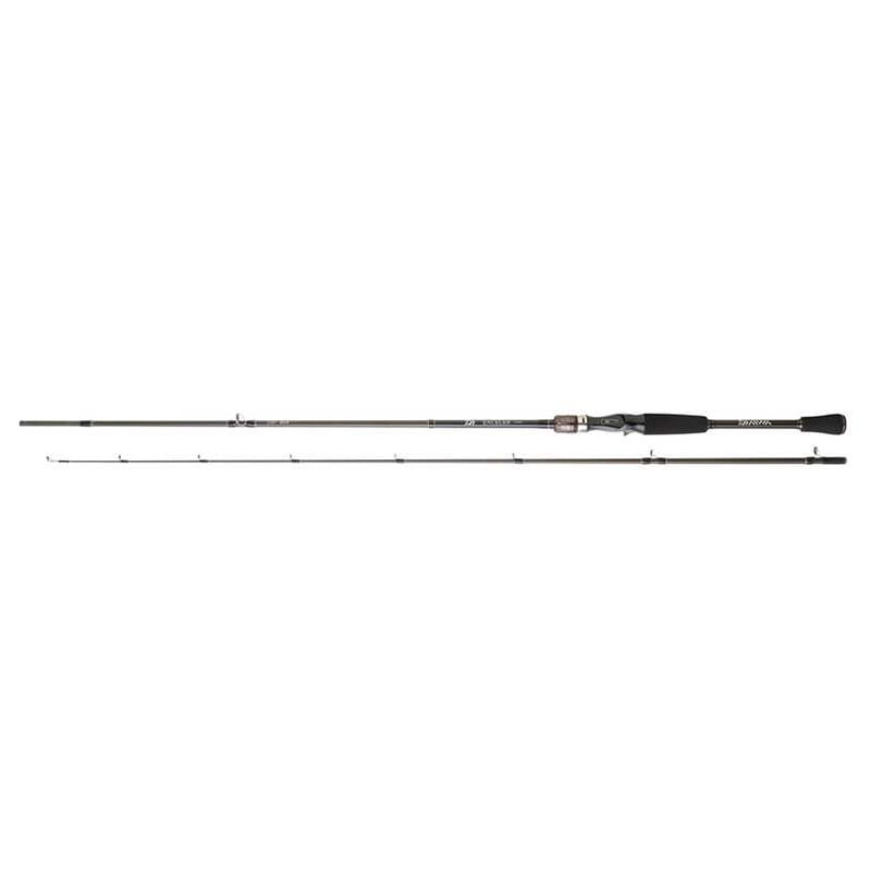 Canne DAIWA Exceler Casting 662 MHFB