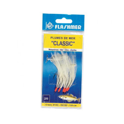 Plumes de mer FLASHMER...